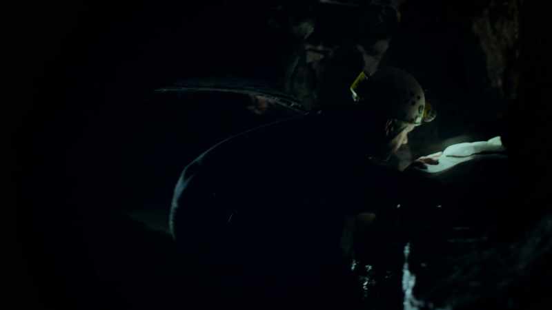 The creatures that choose to live in a cave, they do it for a reason