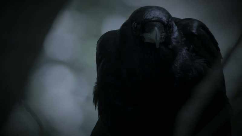 The crow is a very important symbol