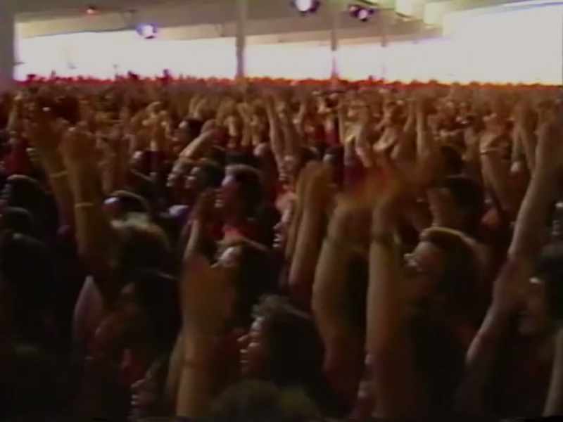 The crowd was going absolutely nuts