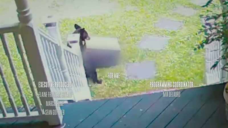 The cub was not charged for this theft