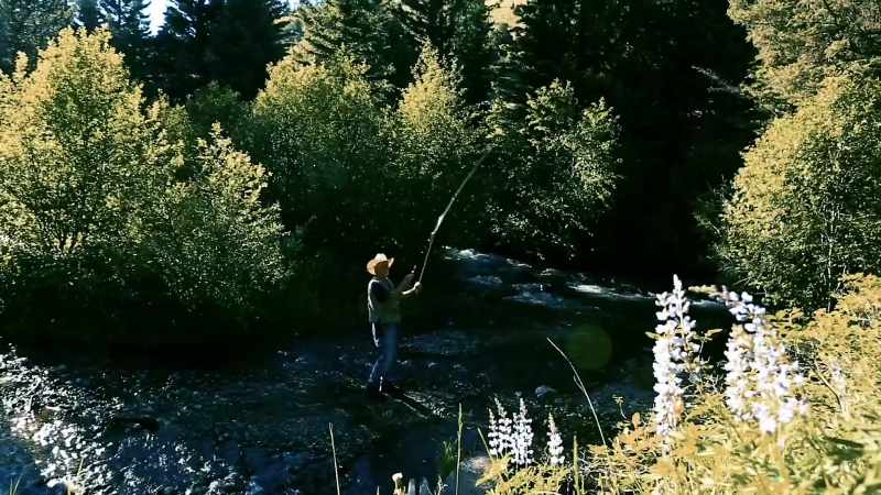 The cutthroats are now pretty endangered