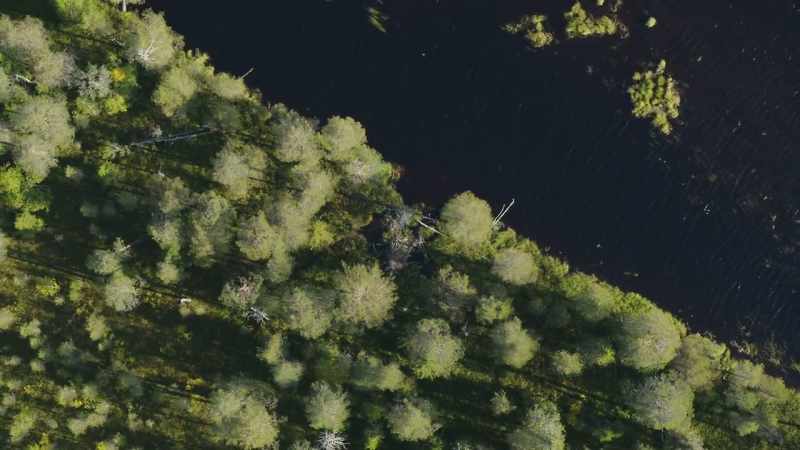 The dam will also stop their supplies from washing downstream