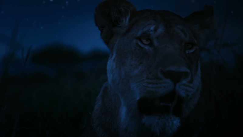 The darkness