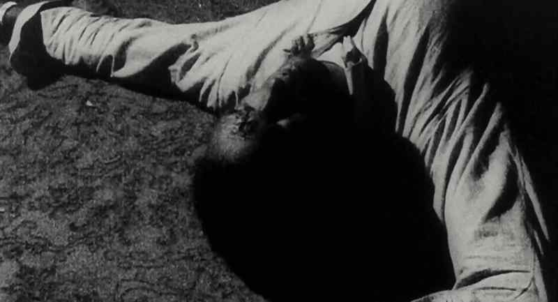 The dead, whose haunted souls hunt the living