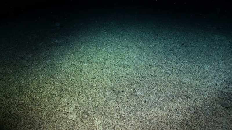 The deep-sea plains cover more than half the Earth's surface