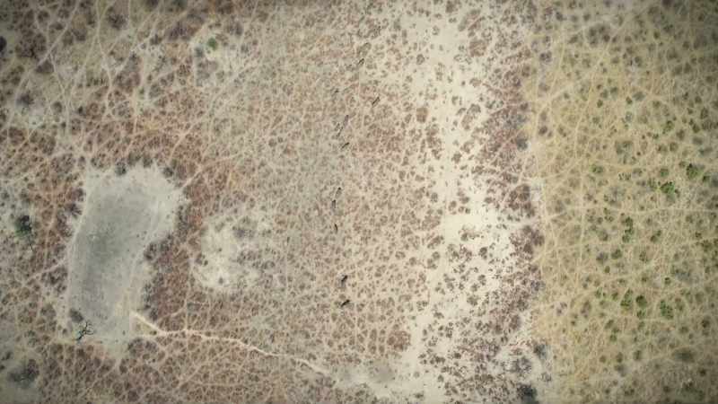 The deeper we delve into nature's strange relations