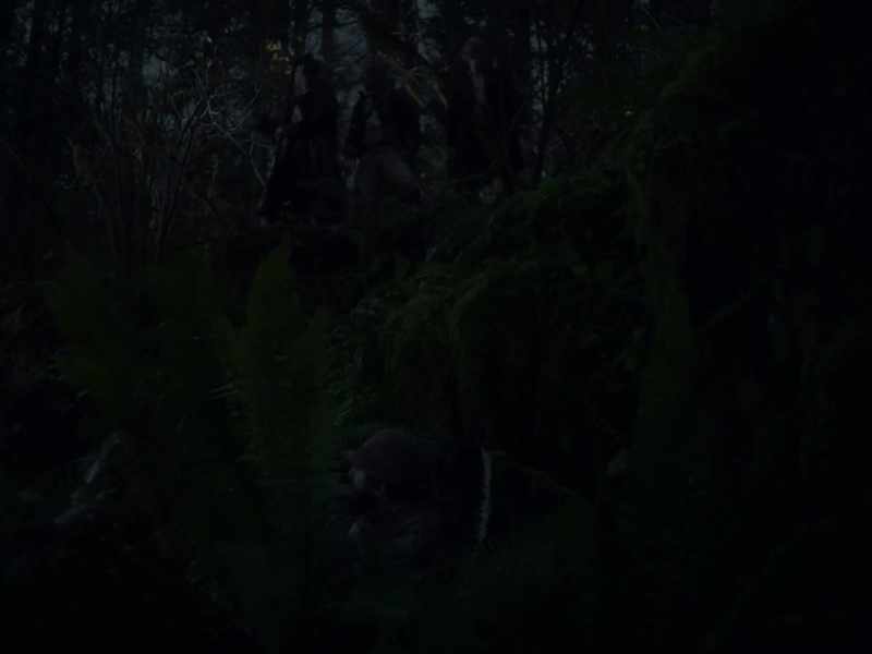 The deer's path is up back up over there