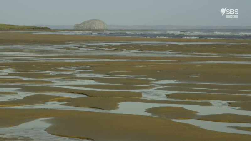 The defences that line this coast were vitally important