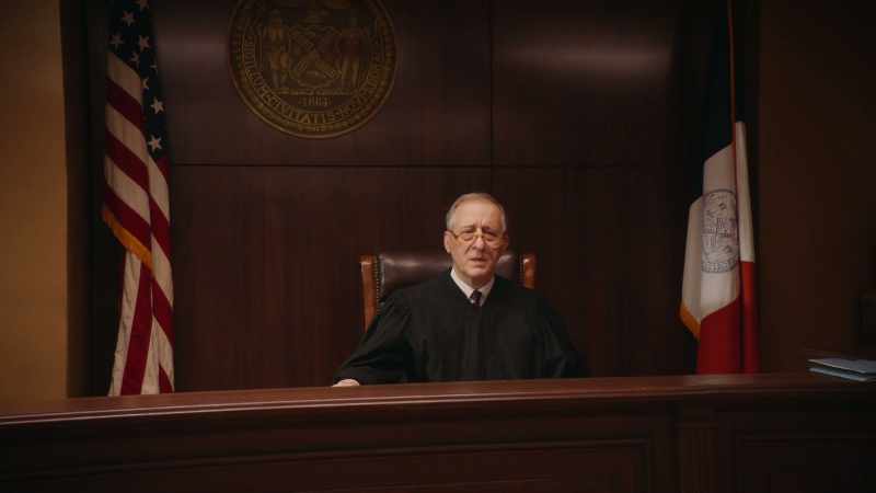 The defendant pleads guilty on all counts