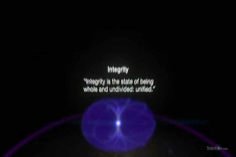 The definition of integrity