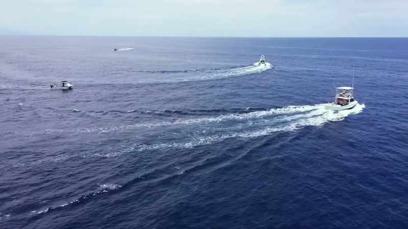 The demand for fish is huge