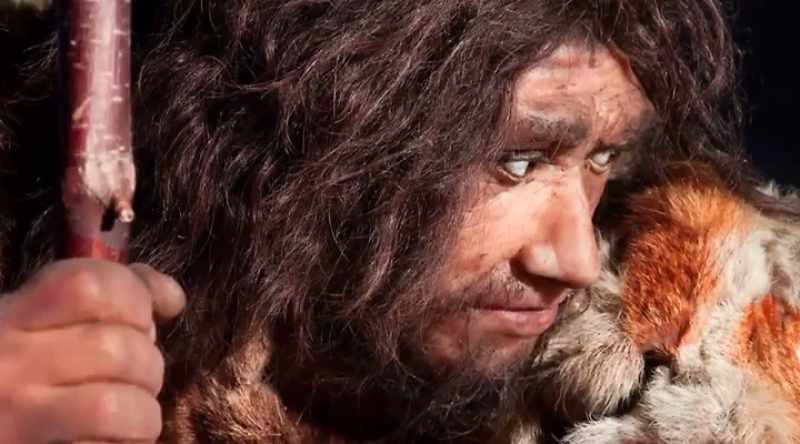 The Denisovan are an extinct species