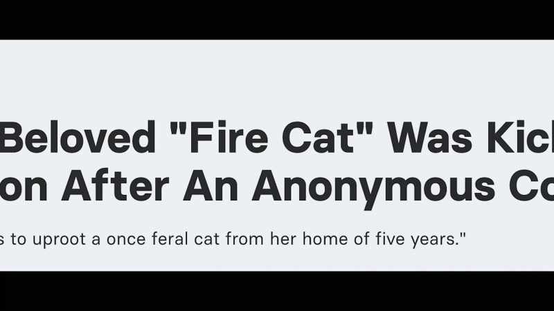 The department says while animals can be comforting