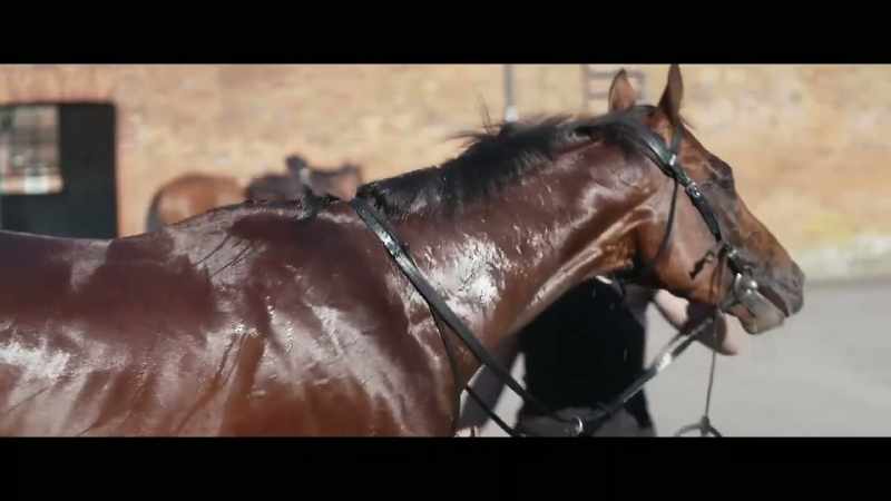 The Derby, It's a tough race for a relatively young