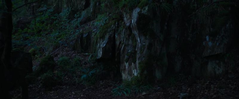 The devil bear is in there