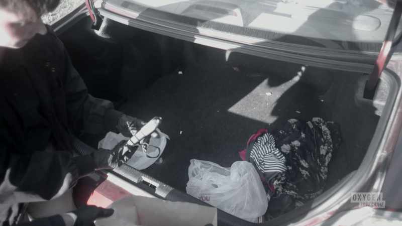 The discovery of the stun gun