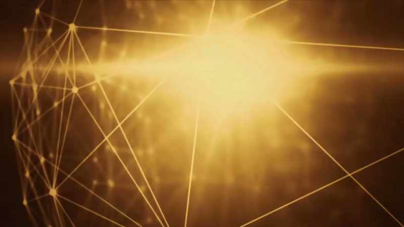 The DNA code in every cell