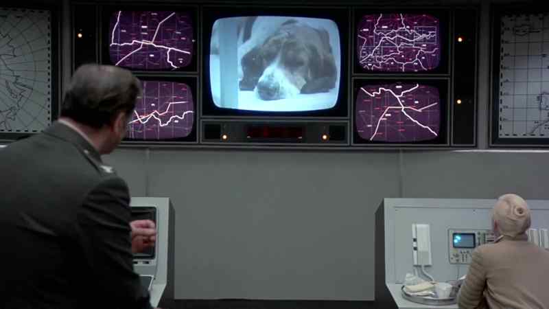 The dog is approaching coma