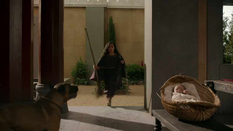 The dog is furious, although he has no idea why
