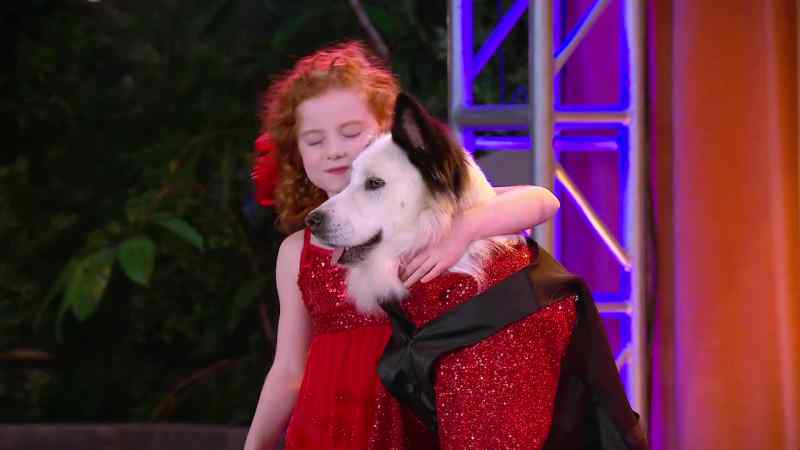 THE DOG JUST DANCED THE TANGO, AND NO ONE IS QUESTIONING IT?