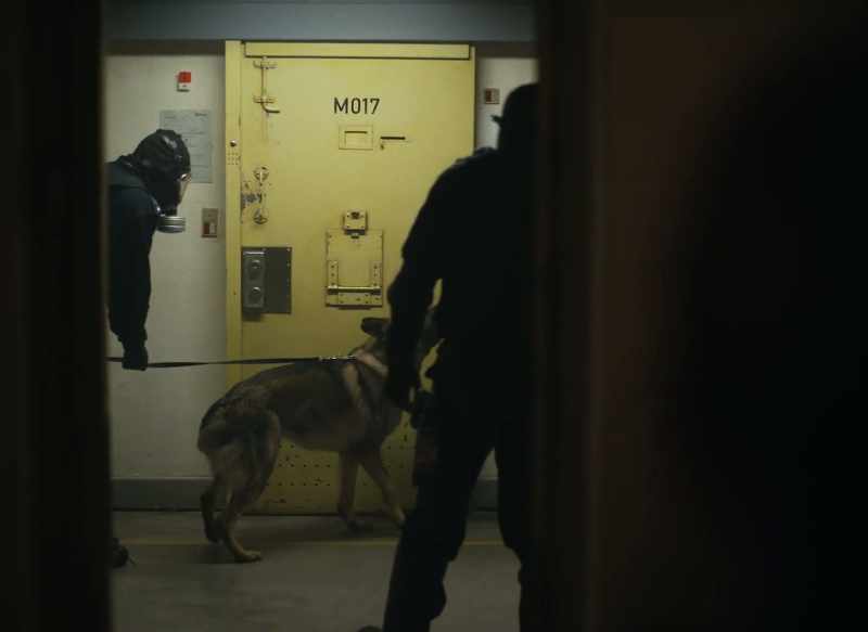 The dog is marking 017. Prepare