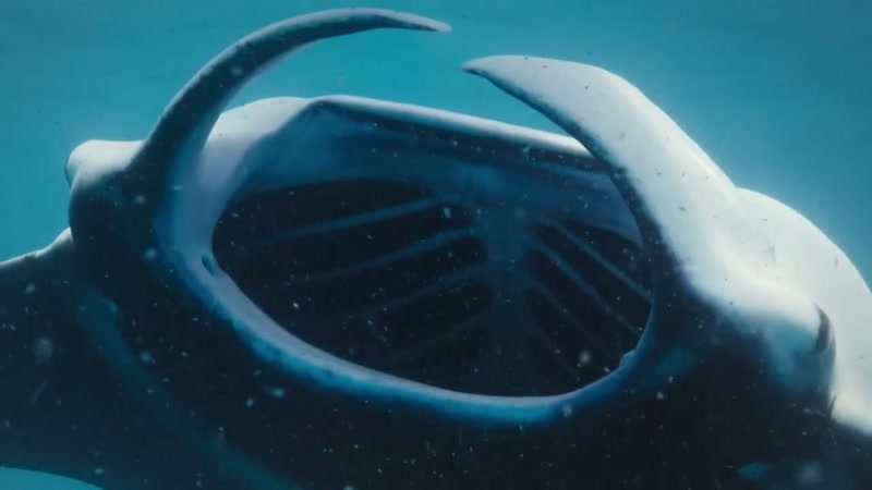 The downside of swimming through this soup