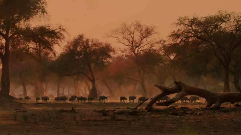 The dry season turns to drought