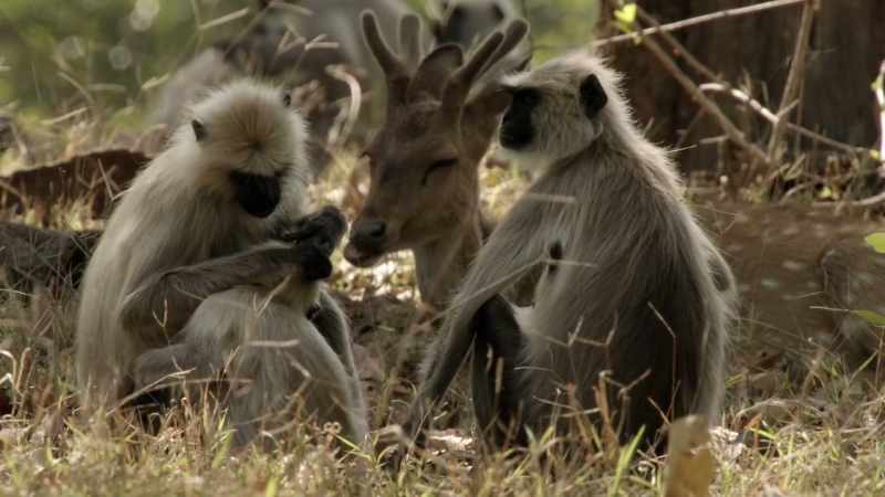 The earliest interpersonal relationship for each of us