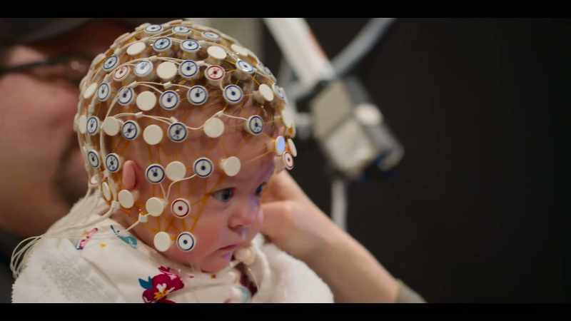 The EEGNet measures electrical activity that is coming from the brain