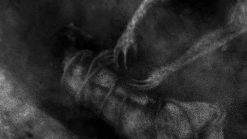 the engaging with the dead