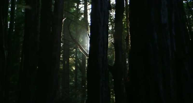 The environment is what was selecting