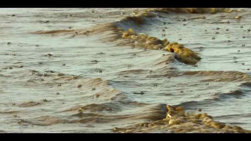 The equatorial sun makes the shallows too hot for most fish