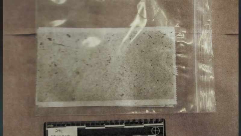 The evidence is sent for DNA testing