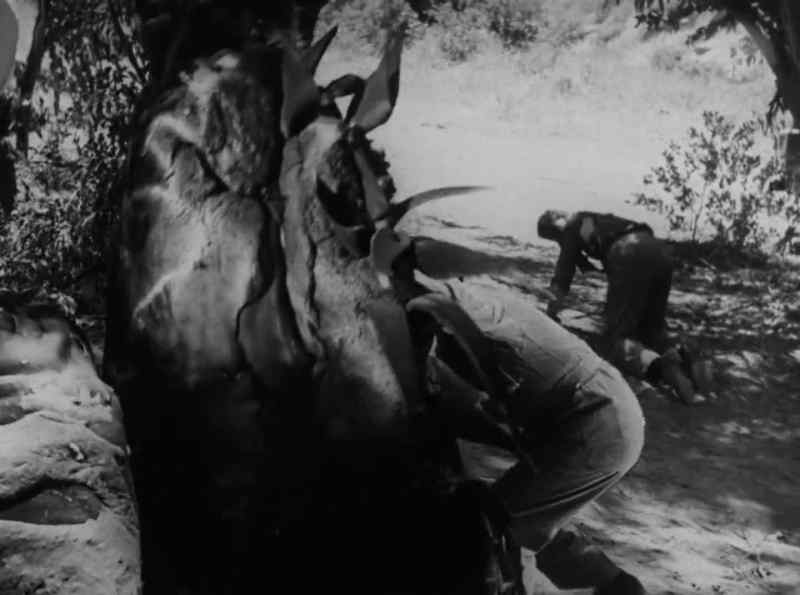 The explosion loosened the harness on the monster
