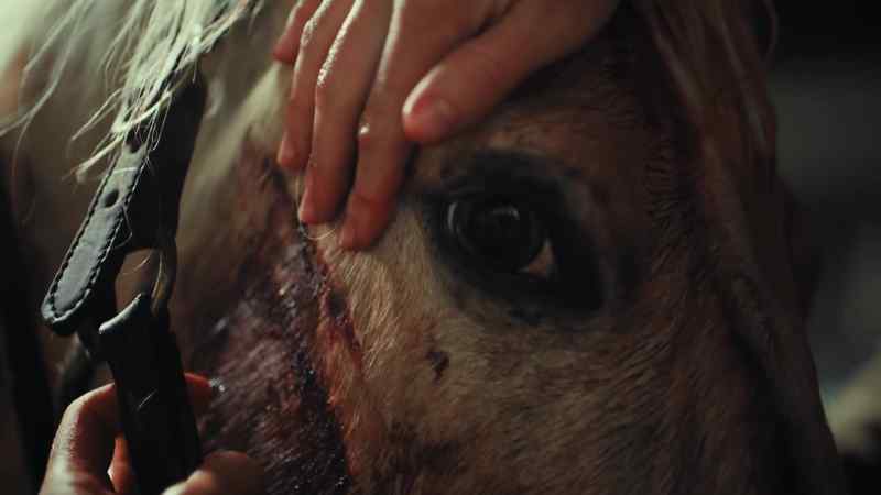The eyes look fine. We have a few cuts