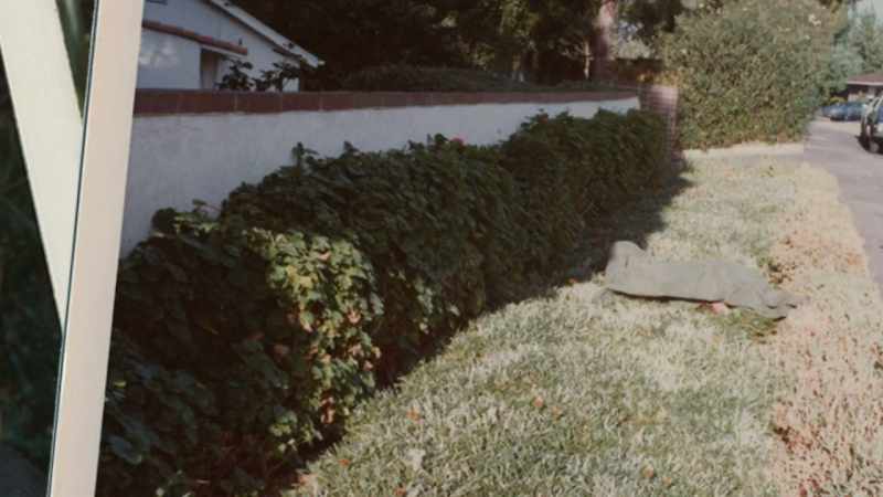 The fact that she was placed in the yard