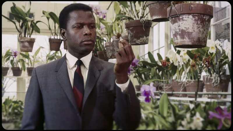 The famous scene in the hothouse