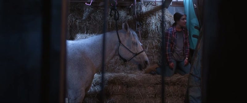 The farm is gonna get sold tomorrow