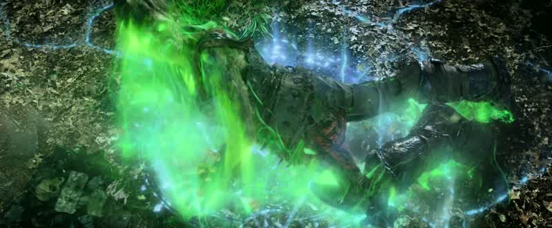 The fel