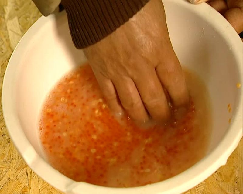 THE FERTILIZATION PROCESS IS PRETTY LOW TECH