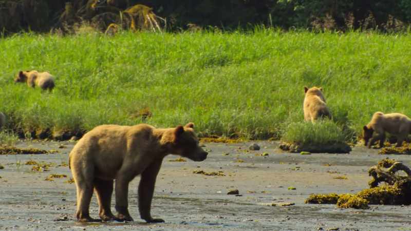 The fiercely protective mom springs into action