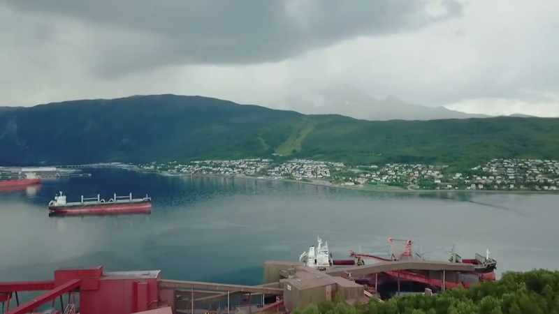 The fighting around Narvik continued until June 1940