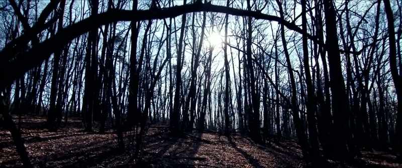 The film itself offers no narrative framing