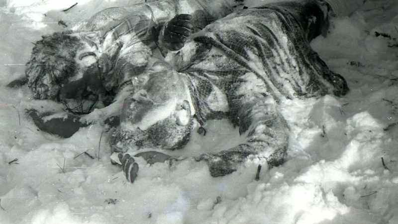 The first to be found by the cedar tree were Yuri Doroshenko