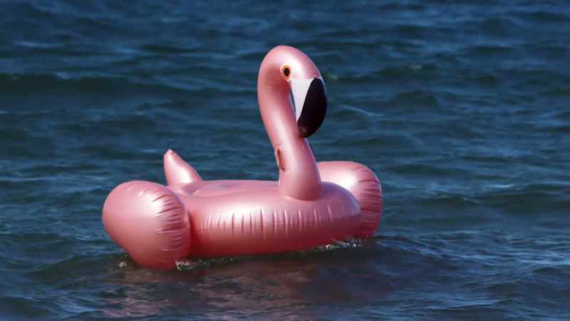 THE FIRST COUPLE TO PADDLE AROUND THAT WEIRD-LOOKING PINK
