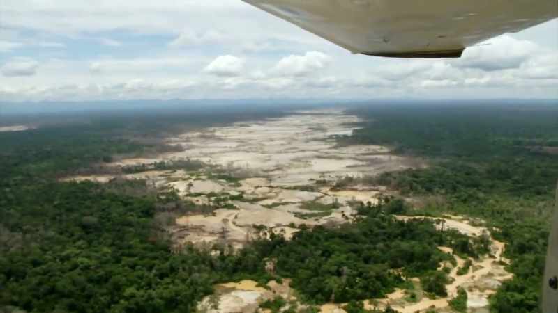 THE FIRST EUROPEAN EXPLORERS WERE DRIVEN TO THE AMAZON
