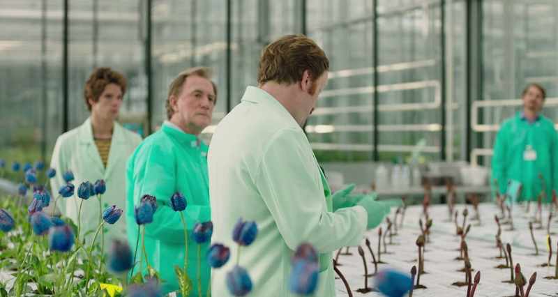 The first mood-lifting, antidepressant happy-plant