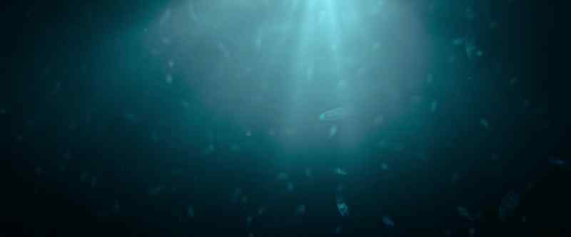 The first step in an underwater labyrinth of life