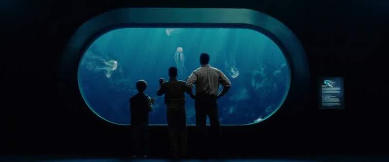 The first time I ever saw a box jellyfish