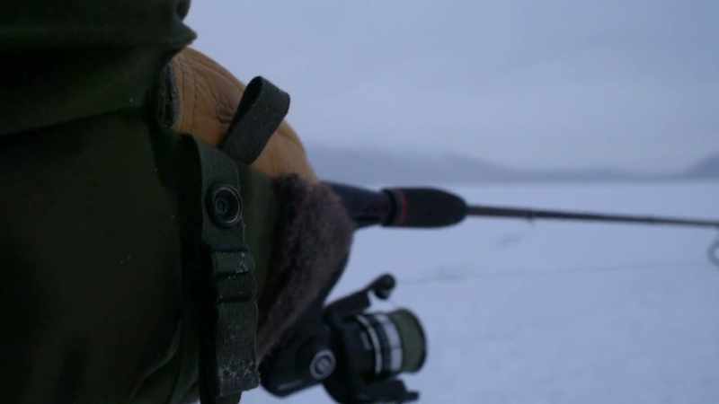 The fish move very slow in the winter;